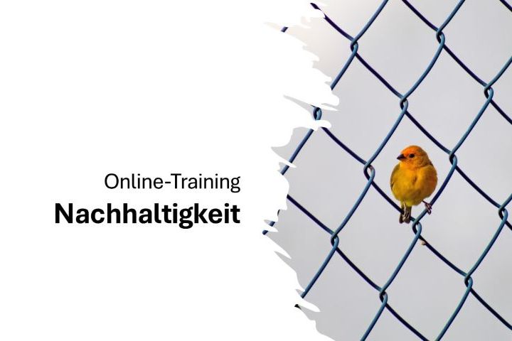 Unser Online-Angebot für Sie