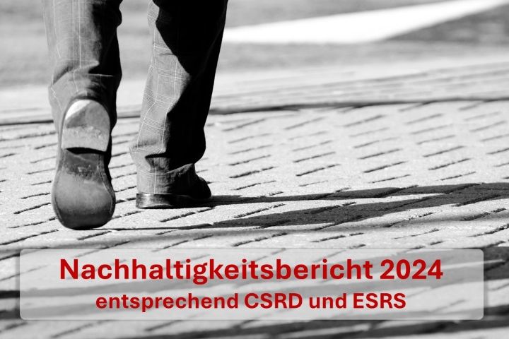 CSRD selber umsetzen - DNA unterstützt