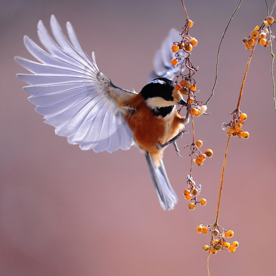 Nachhaltigkeit - Ihr Nutzen